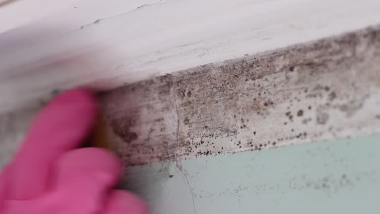 Mold Exposure & Symptoms